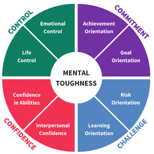 MTQ Plus — model mental toughness